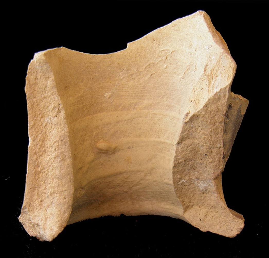 100.JPG