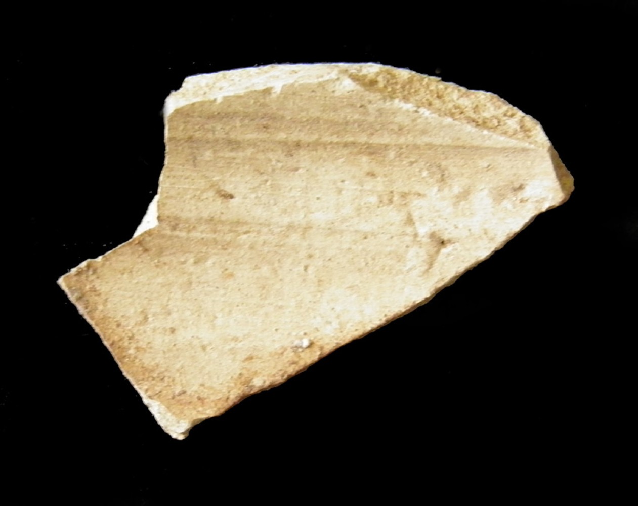 100.JPG