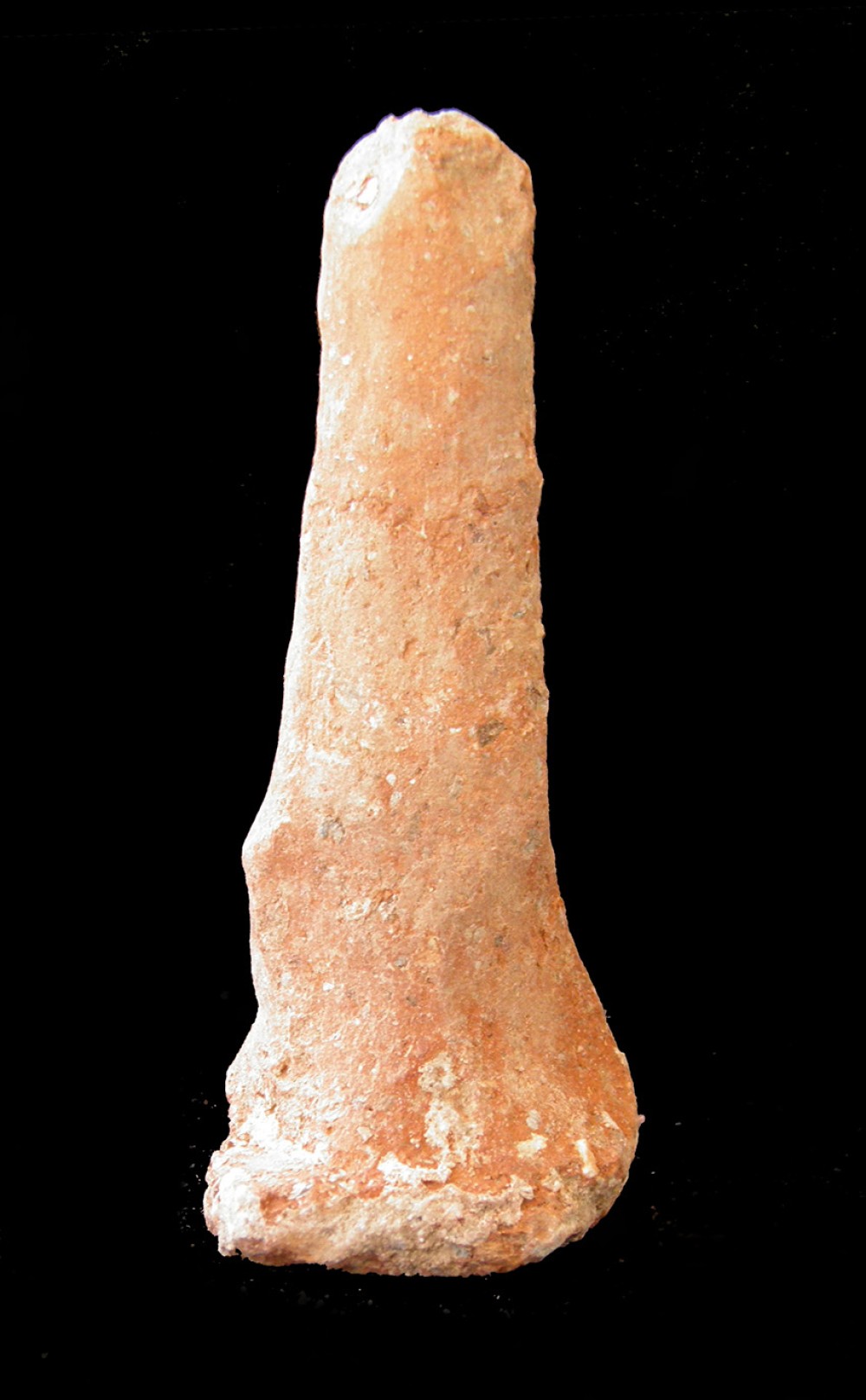 100.JPG