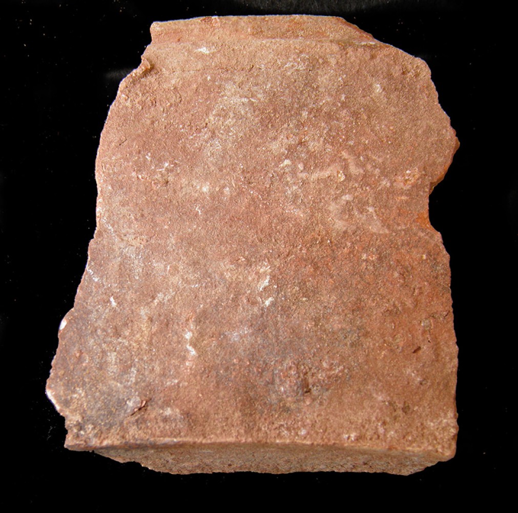 100.JPG