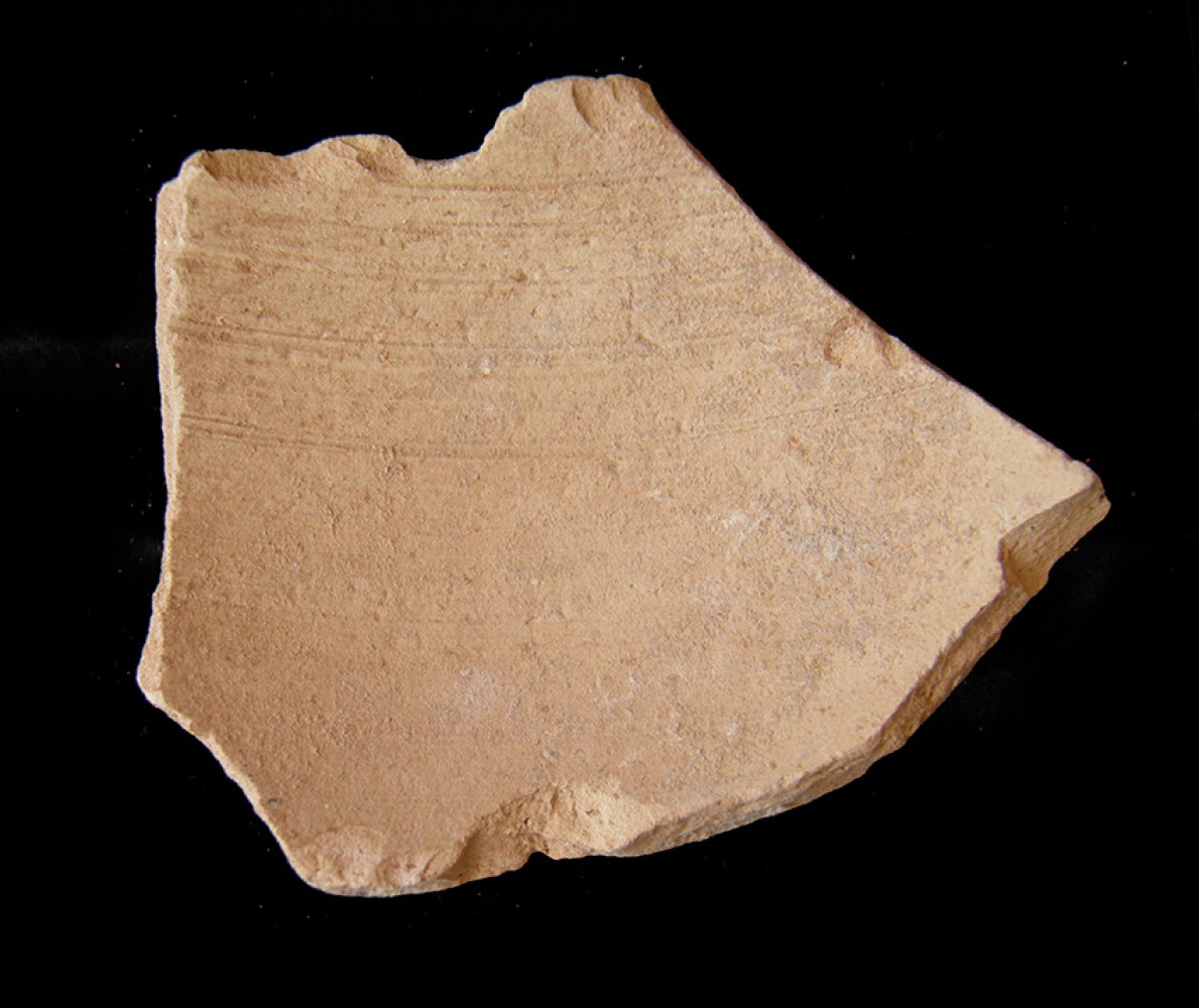 100.JPG