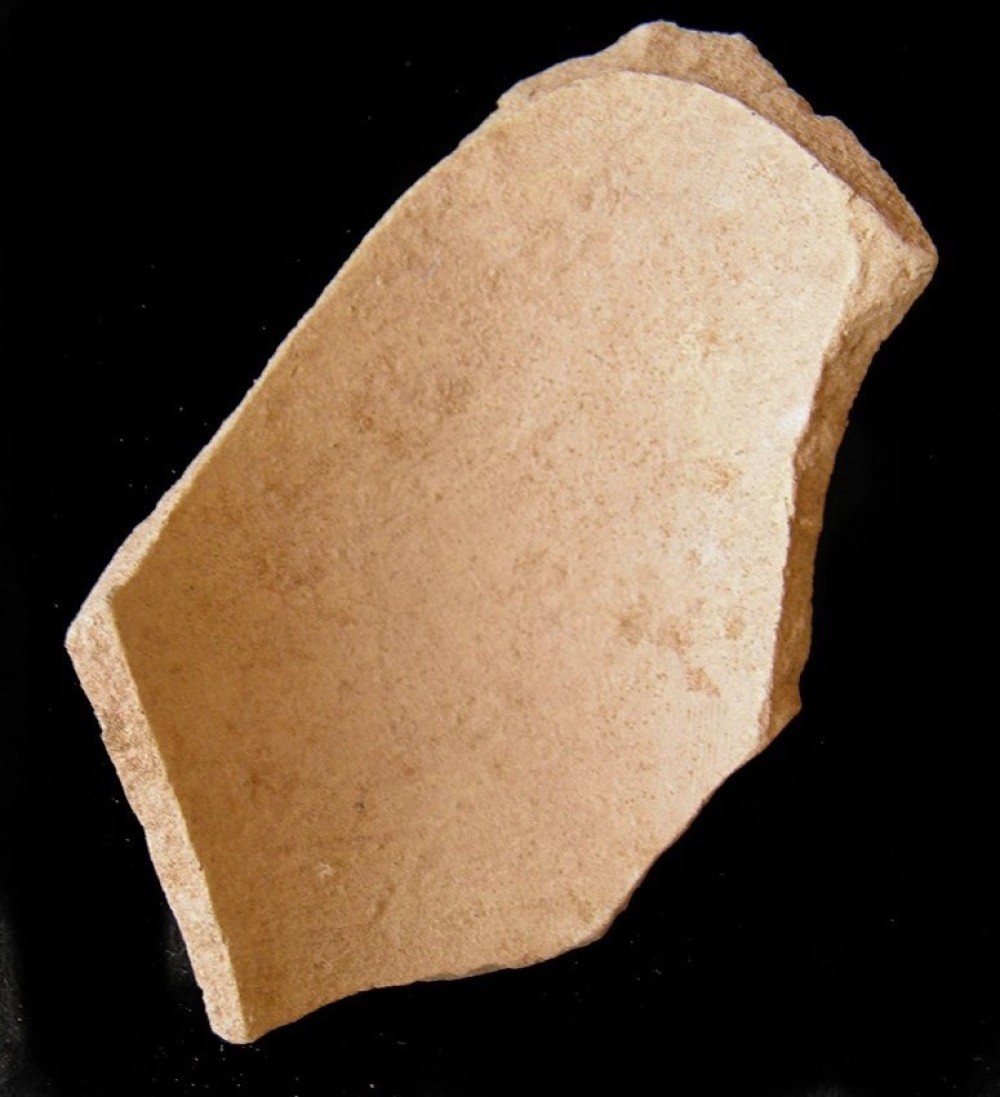 100.JPG