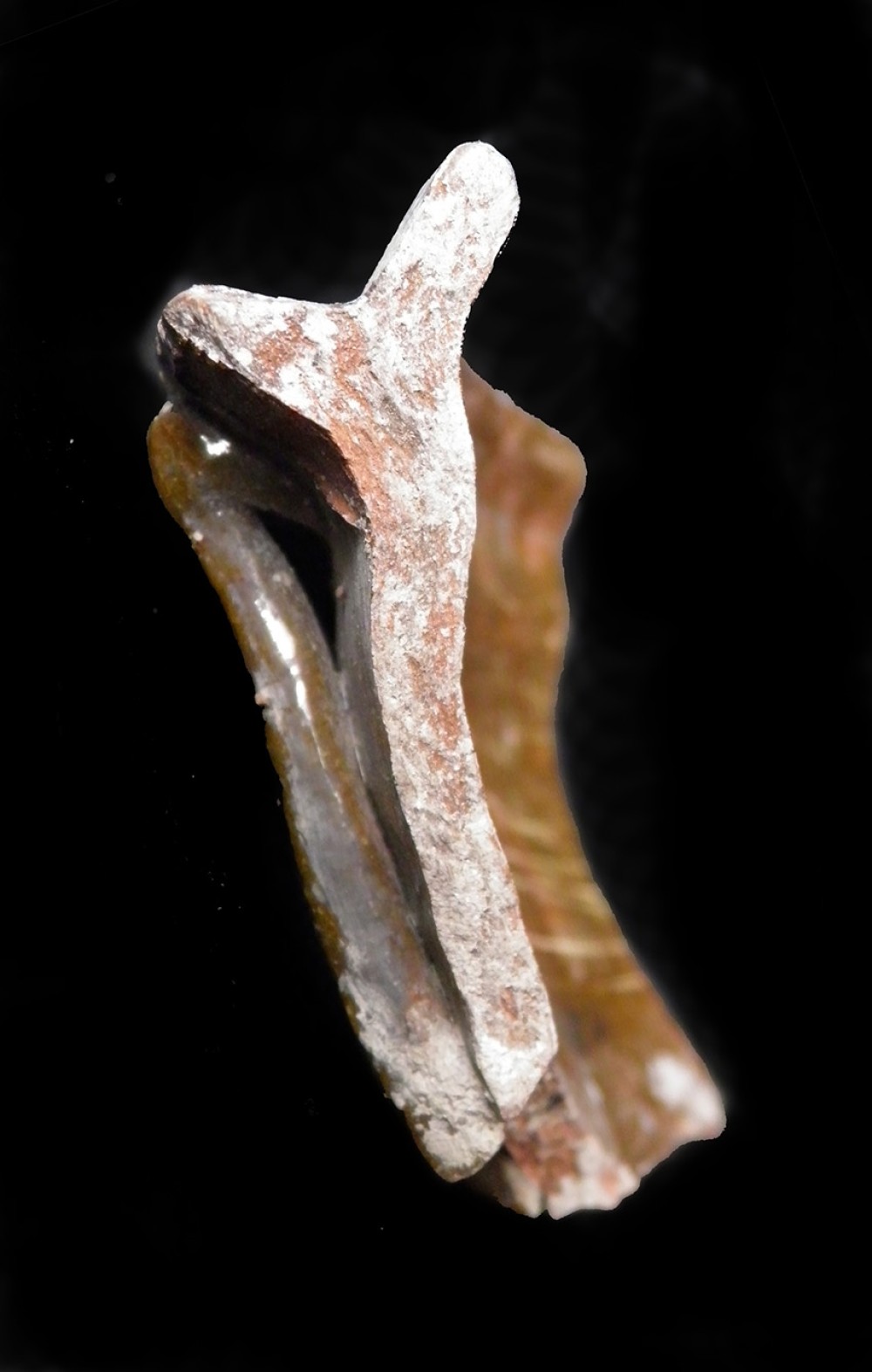 102.JPG