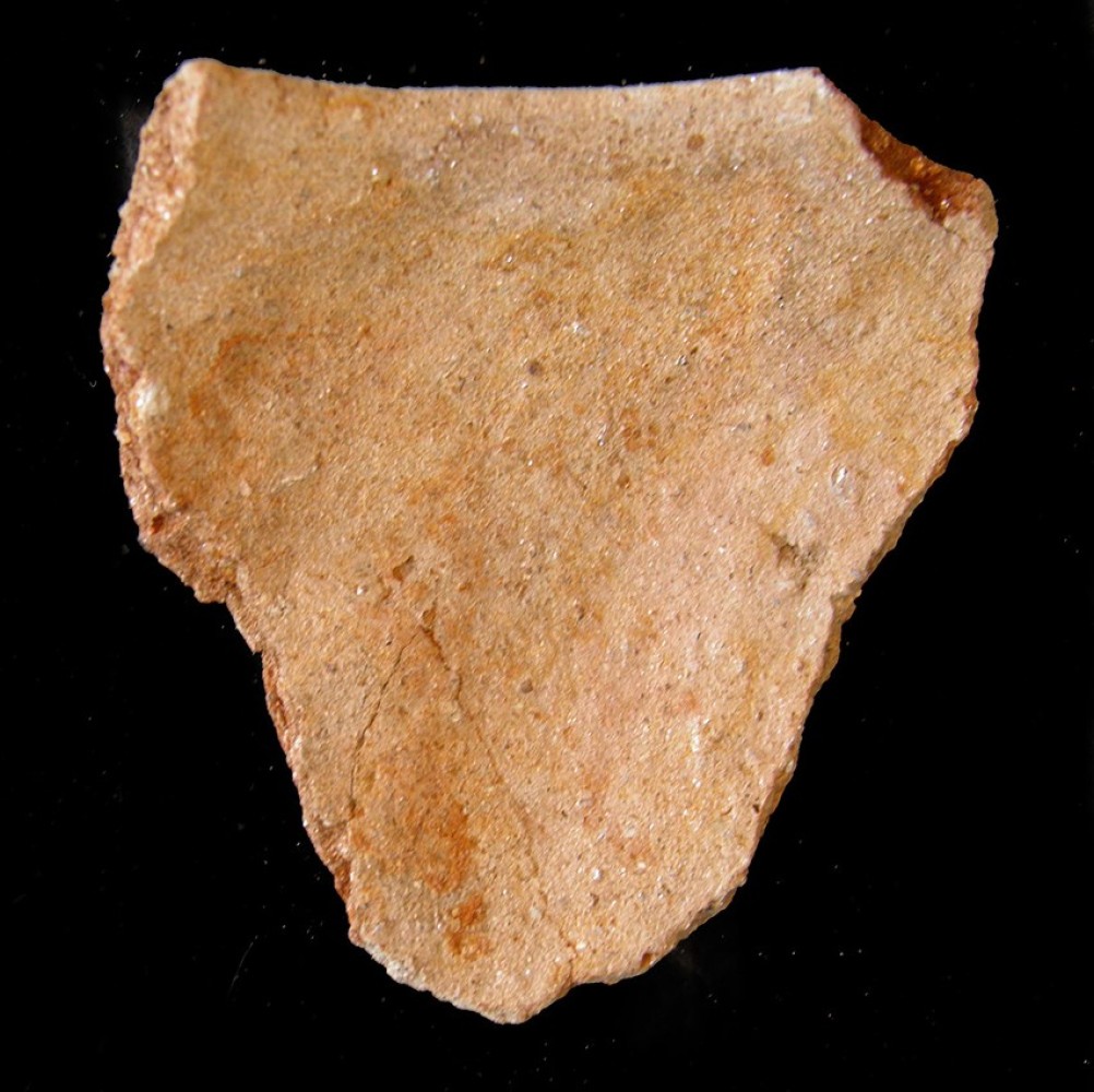 100.JPG