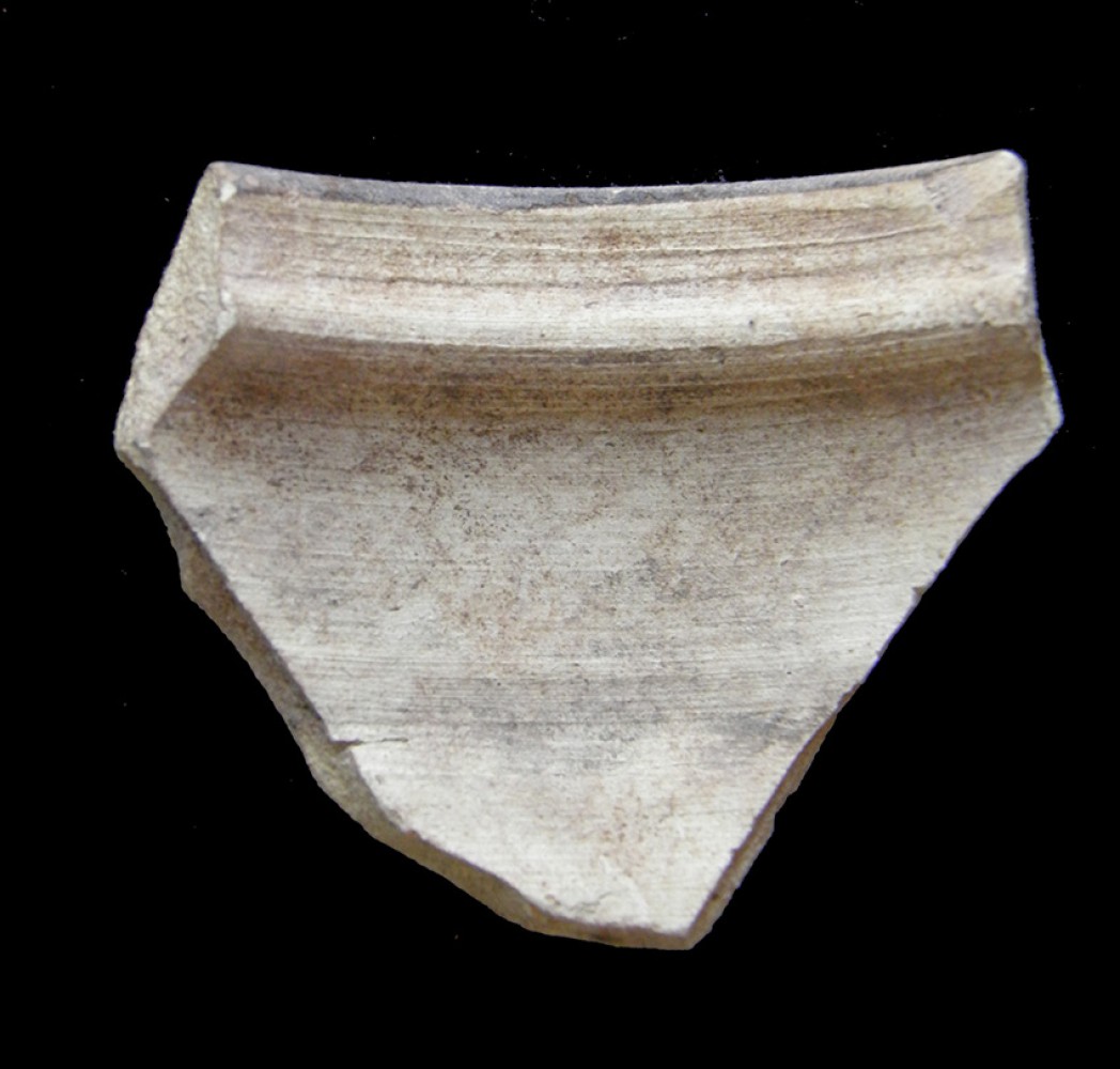 100.JPG