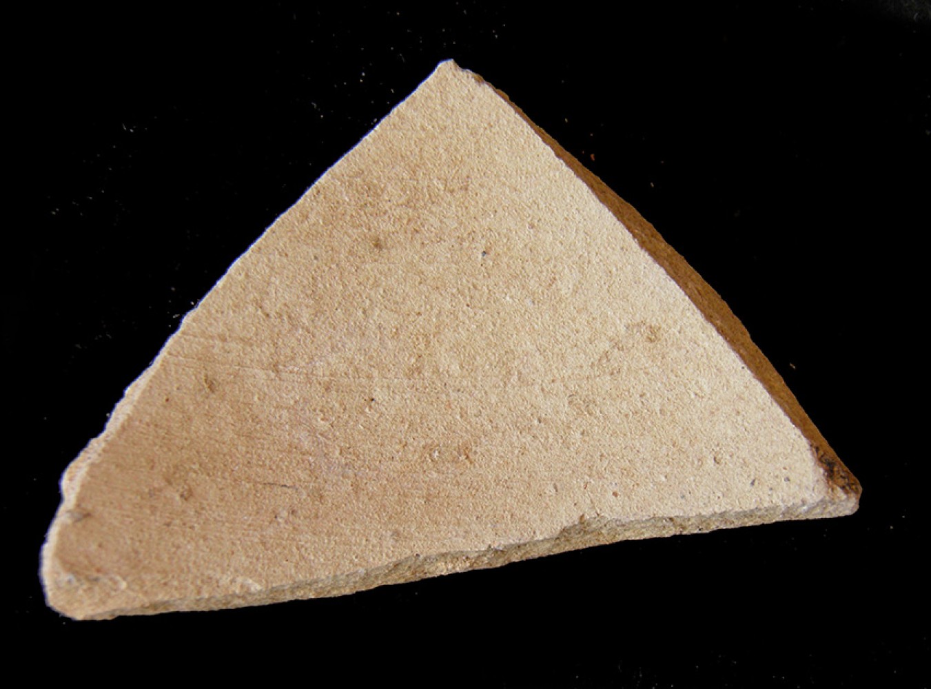 100.JPG