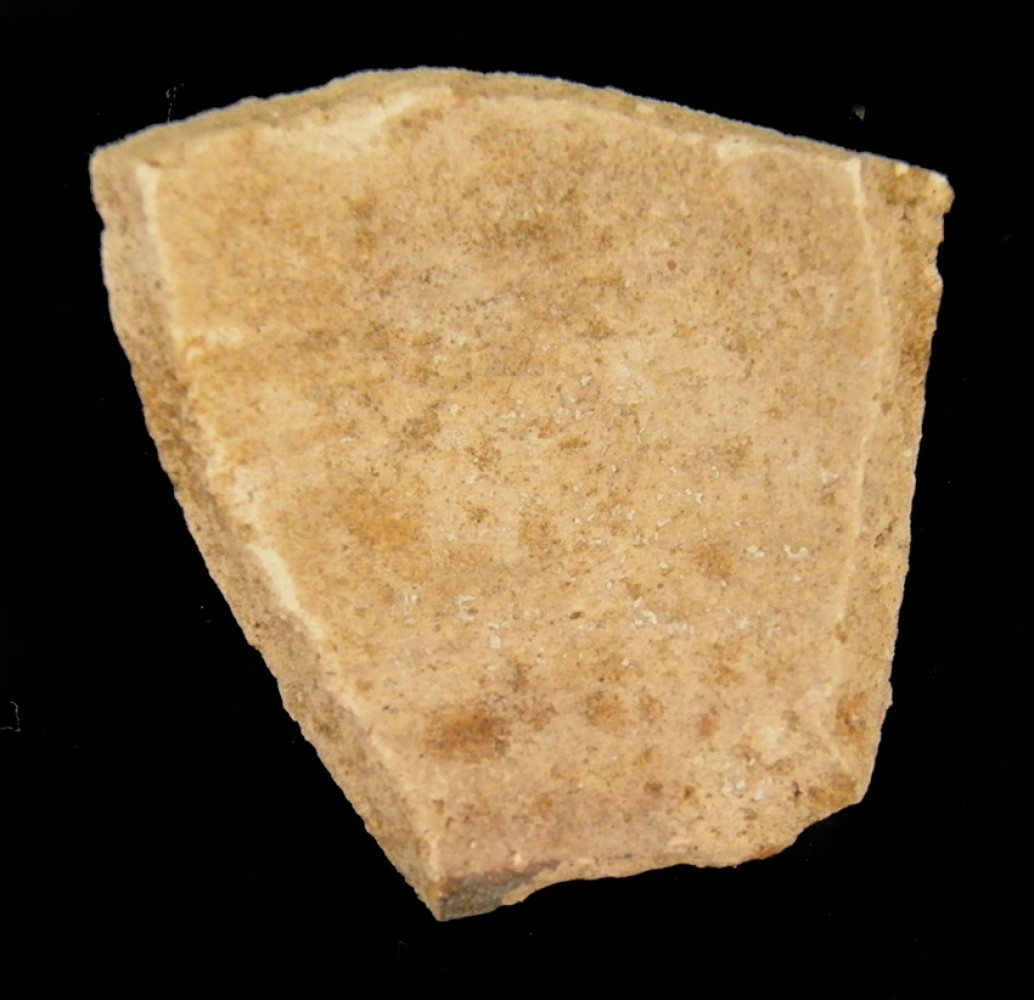 100.JPG