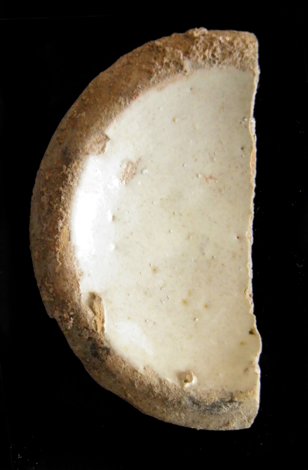mainImage.jpg