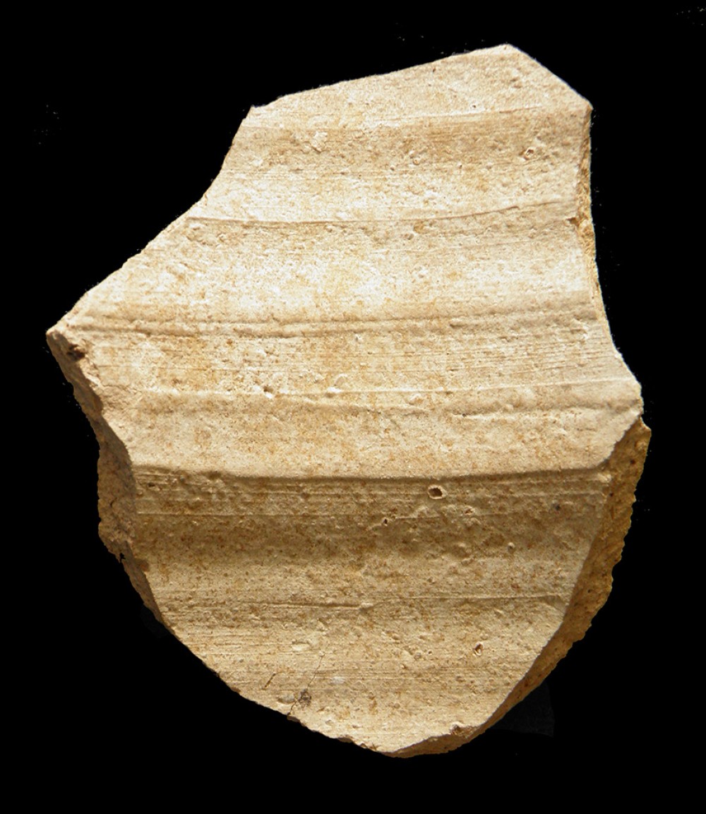 100.JPG