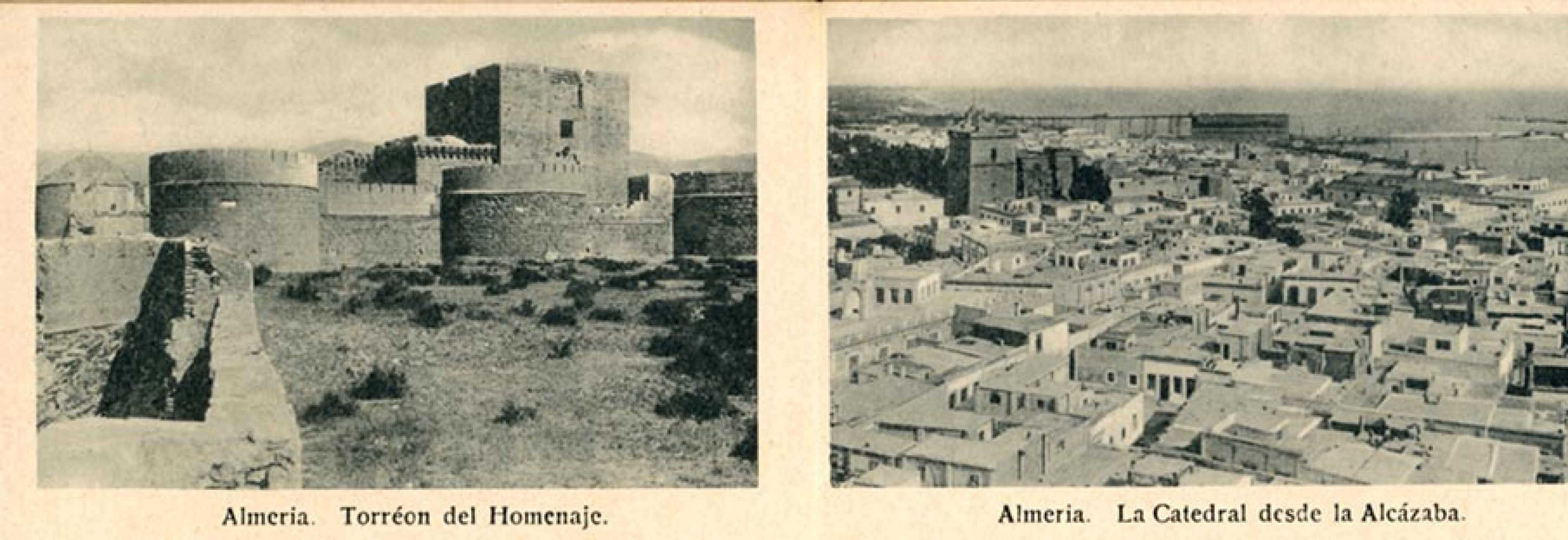P04.jpg