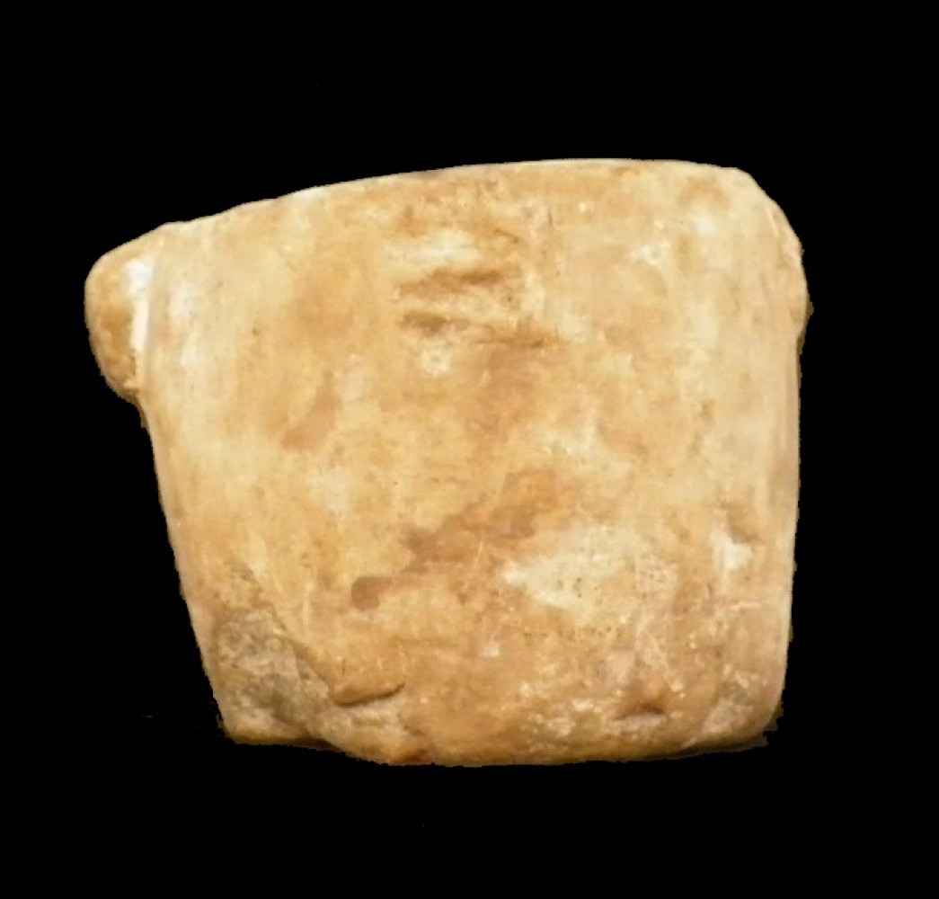 100.JPG