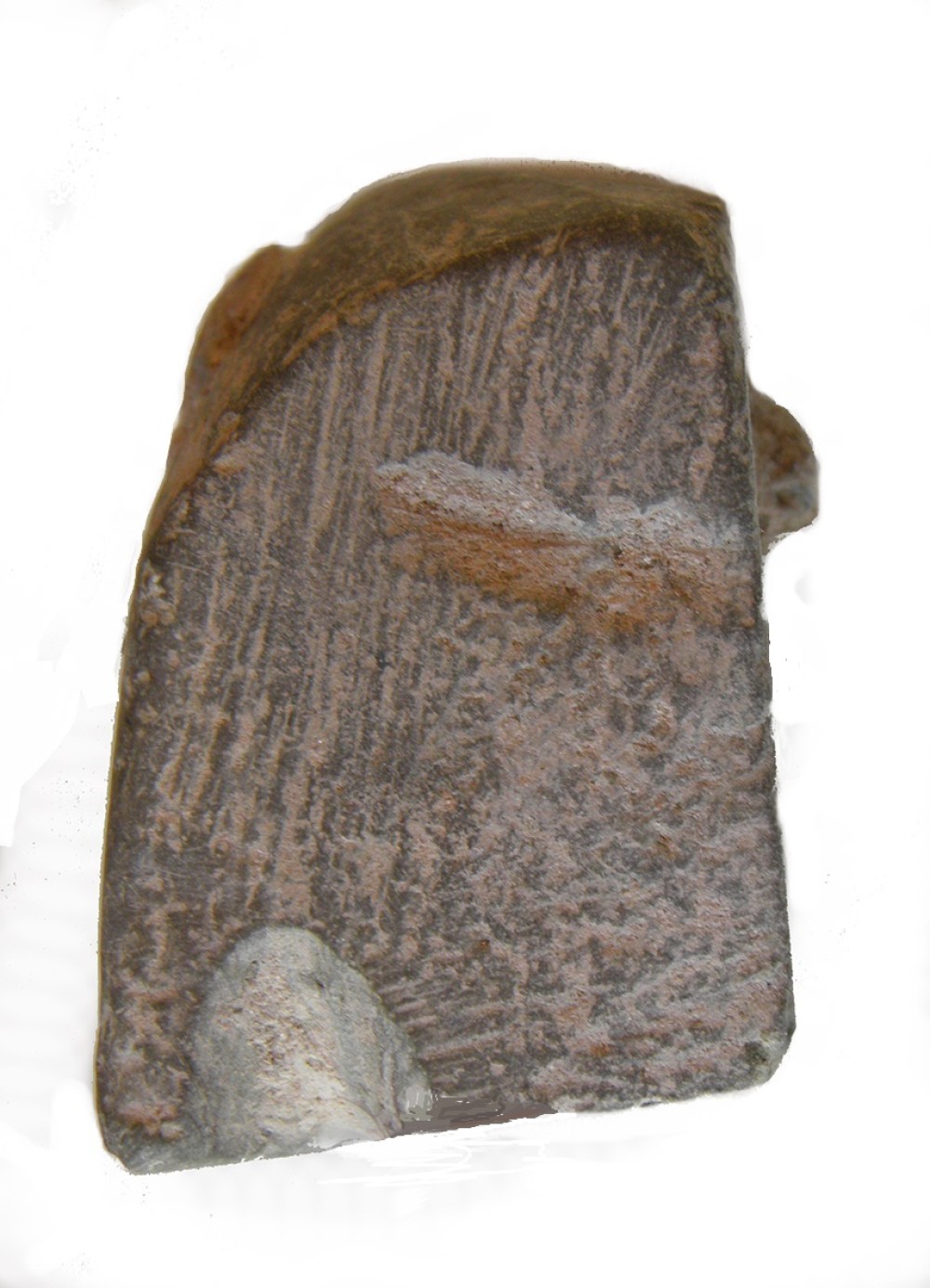 103.JPG