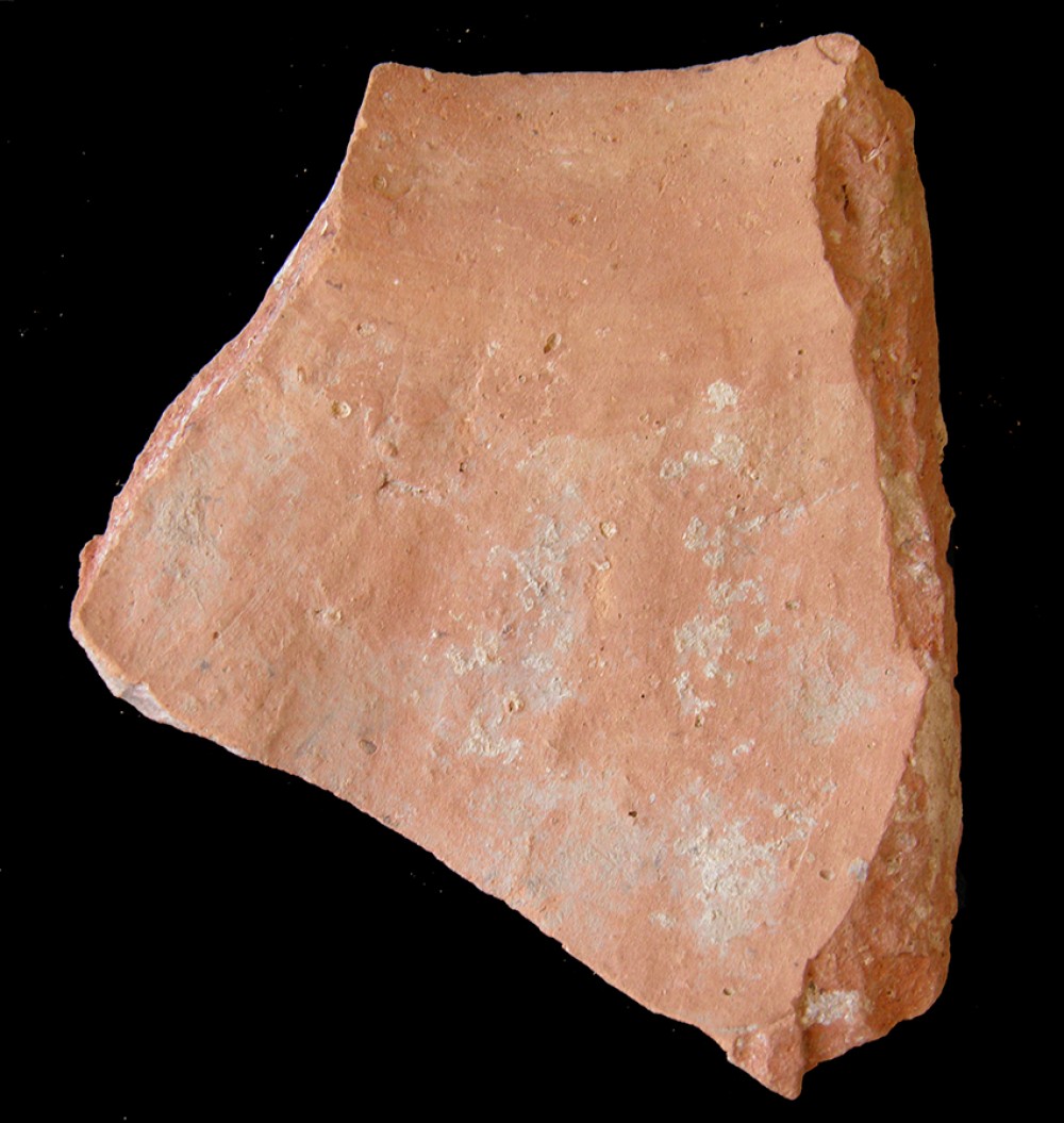 100.JPG