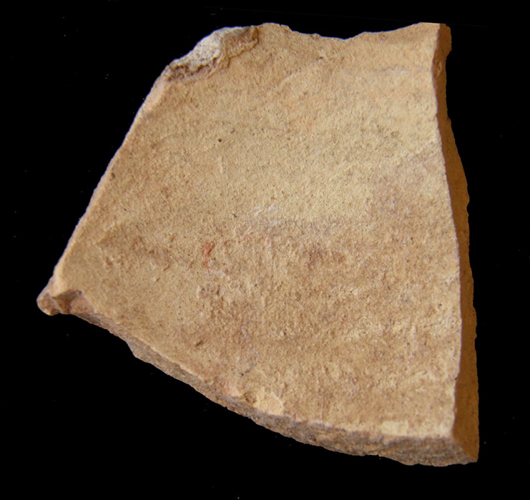 100.JPG