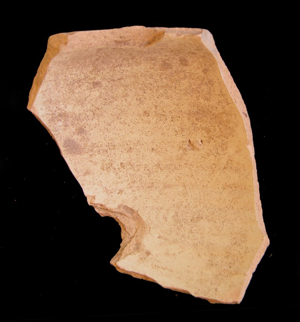 100.JPG