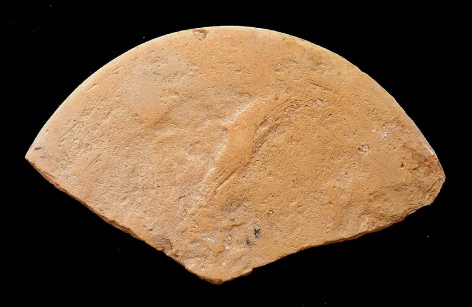 102.JPG