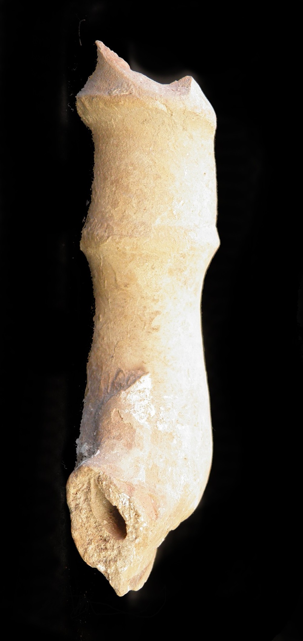 102.JPG