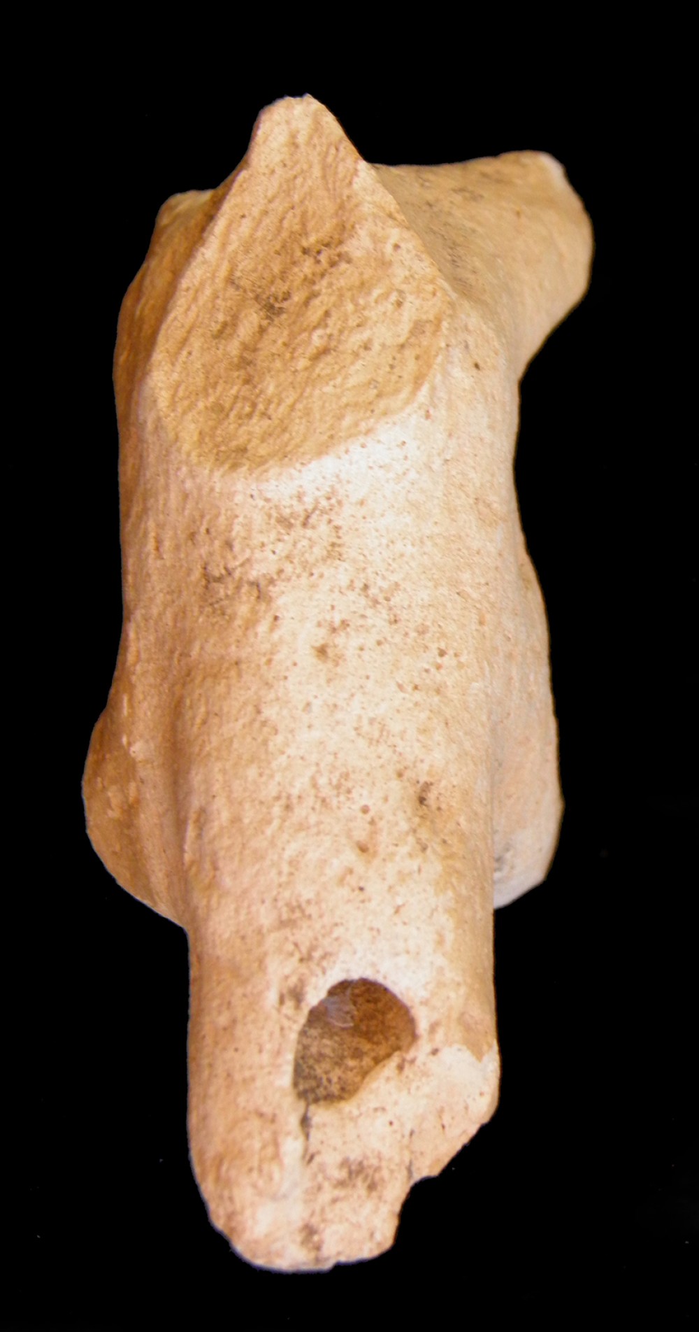 101.JPG
