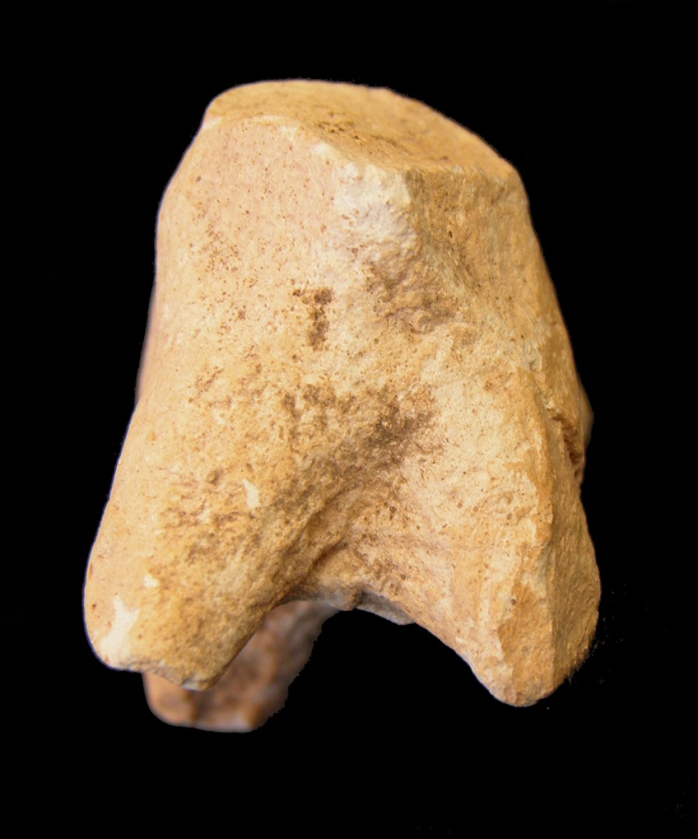 103.JPG