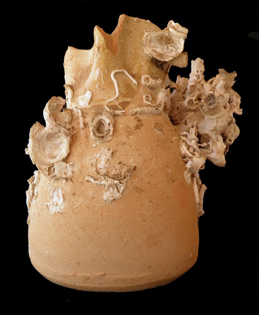 102.JPG