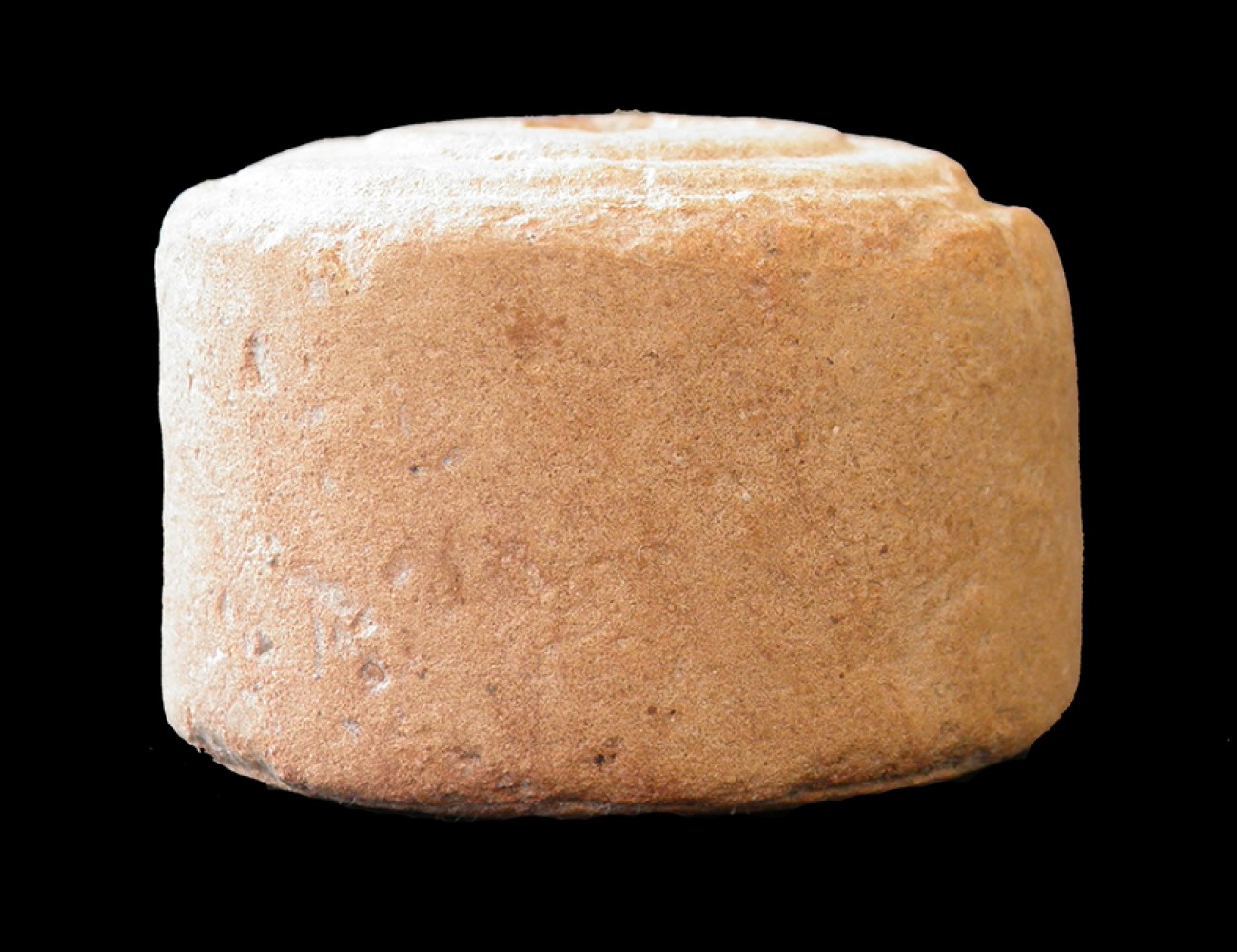100.JPG