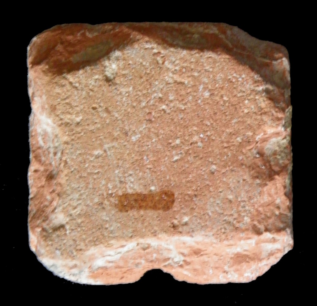 100.JPG