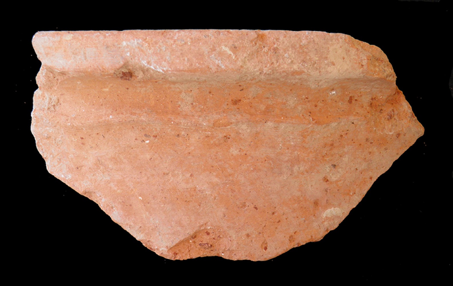 100.JPG