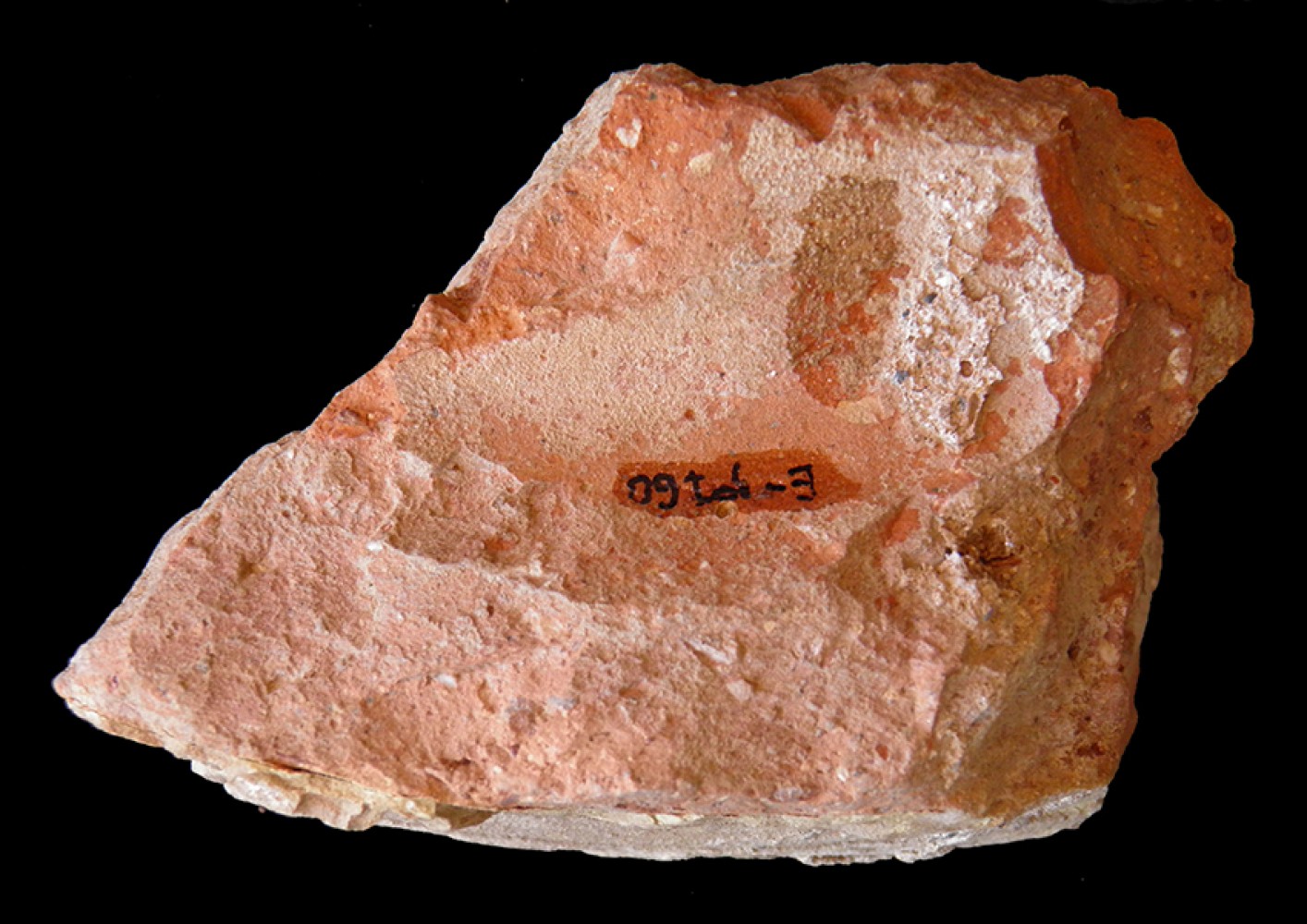 103.JPG